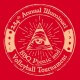 Illuminati BBQ and Volleyball Tournament